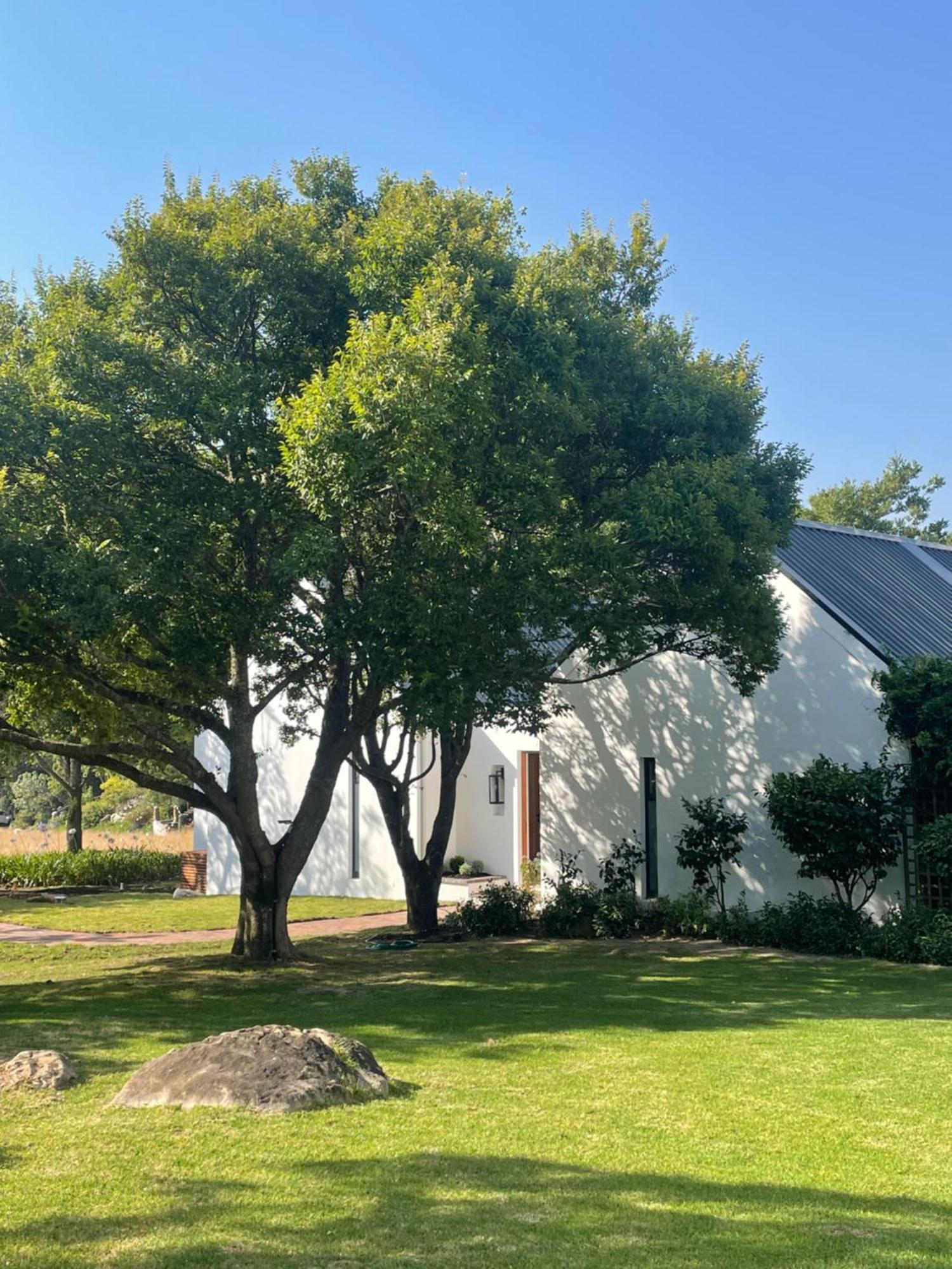 Mountain Cottages At Haskell Vineyard ستيلينبوش المظهر الخارجي الصورة